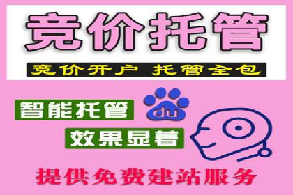 实战解析：SEM网络推广助力企业突破困境